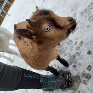 Meet your Posher, Caroline